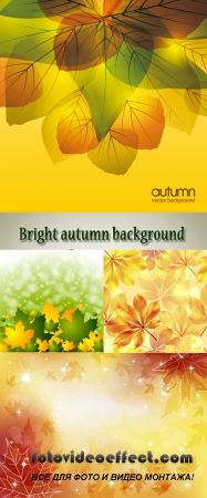 Stock: Bright autumn background
