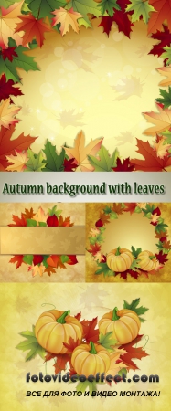 Stock: Autumn background with yellow and red leaves