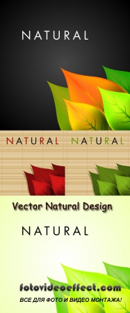 Stock: Vector Natural Design