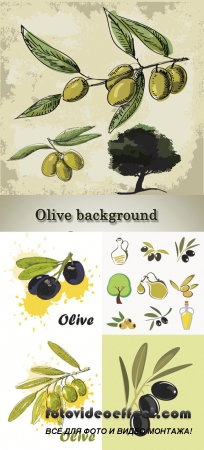 Stock: Olives and oil, backgrounds