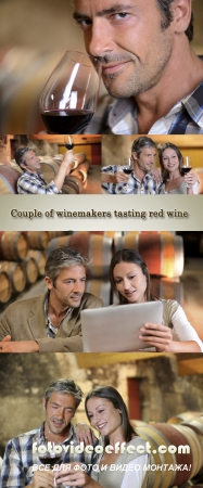 Stock Photo: Couple of winemakers tasting red wine