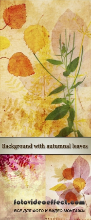 Stock Photo: Beautiful vintage background with autumnal leaves