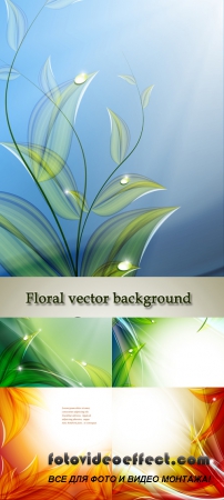 Stock: Floral vector background