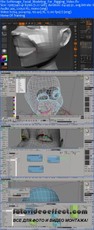 Softimage Facial Retopo And Rigging For Animation [FULL COMPLETE]-cmiVFX