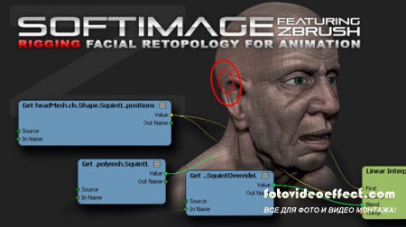 Softimage Facial Retopo And Rigging For Animation [FULL COMPLETE]-cmiVFX