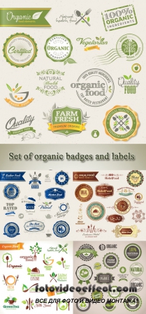 Stock: Set of organic badges and labels