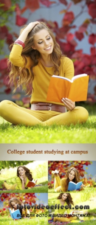 Stock Photo:College student studying at campus