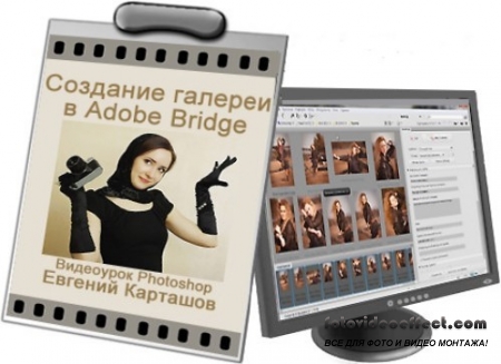  Photoshop    Adobe Bridge