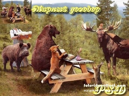   (PSD )