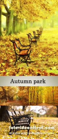 Stock Photo: Autumn park and the alley in fallen leaves