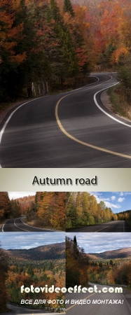 Stock Photo: Empty autumn road