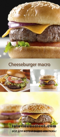 Stock Photo: Cheeseburger macro 3