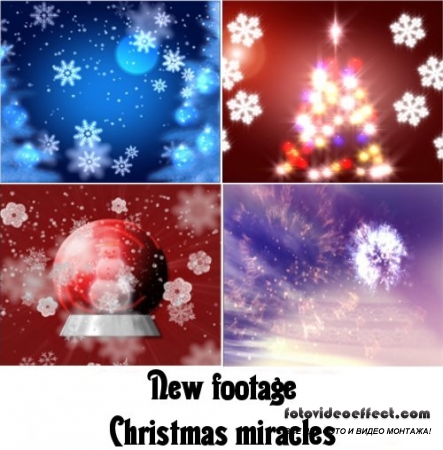 Christmas miracles