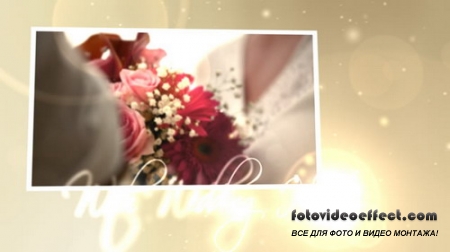 Wedding Hearts CS4  After Effects Project(Videohive)