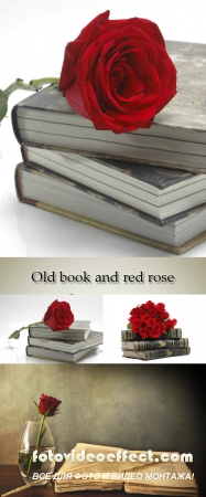 Stock Photo: Old book and red rose
