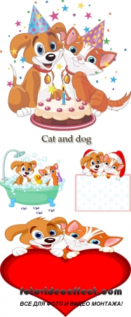 Stock: Cat and dog