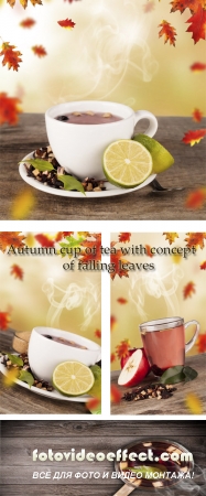 Stock Photo: Autumn cup of tea with concept of falling leaves