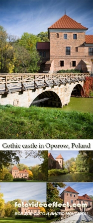 Stock Photo: Gothic castle in Oporow, Poland