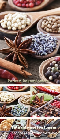 Stock Photo: Various fragrant spices