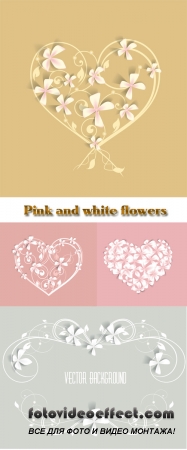 Stock: Pink and white flowers on gentle backgrounds