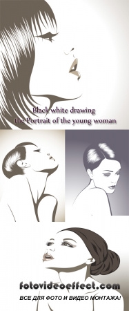 Stock: Black white drawing - the Portrait of the young woman