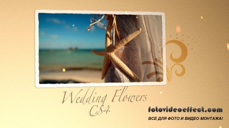 After Effects VideoHive - Wedding Flowers CS4