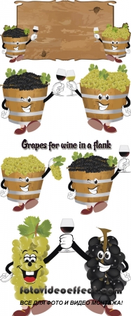Stock: Grapes for wine in a flank