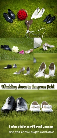 Stock Photo: Wedding shoes in the grass field