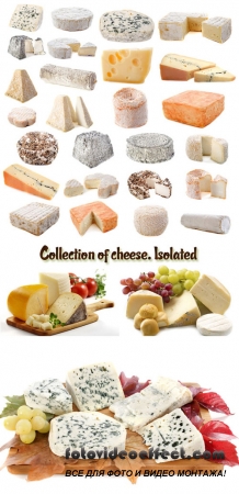 Stock Photo: Collection of cheese. Isolated