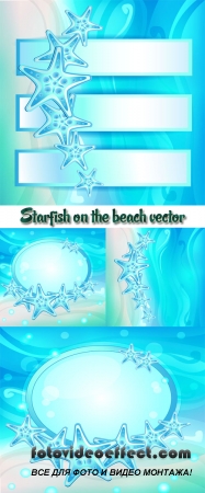 Stock: Starfish on the beach vector