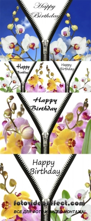  Stock Photo: Original birthday greetings with orchids