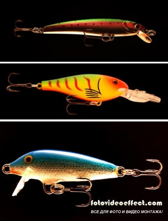 Fishing Lures Pack  12 Macro Images