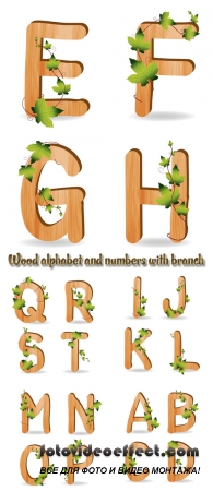 Stock: Wood alphabet and numbers with branch green leaves