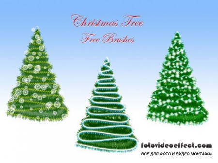 Christmas Tree Free Brushes