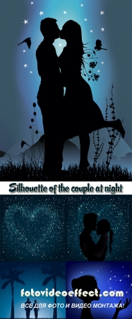 Stock: Silhouette of the couple at night