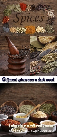 Stock Photo: Different spices over a dark wood. Selective focus