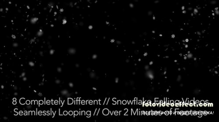 Realistic Snow Flakes Falling - 8 Videos - LOOP