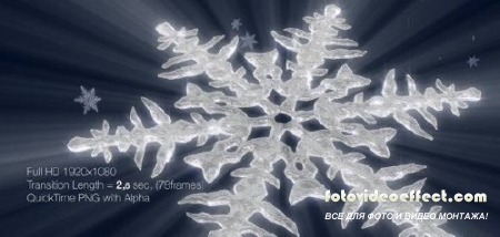 Icy Snowflake Zoom-In Transition