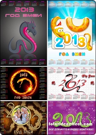    2013   / Snake calendars for 2013