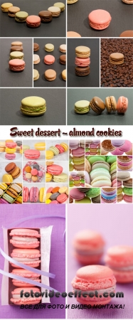 Stock Photo: Sweet dessert - almond cookies, macarons