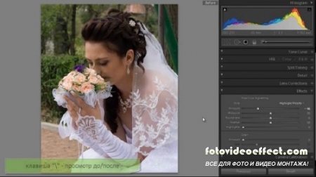  Lightroom 2-4    (2012, RUS, MP4, .)