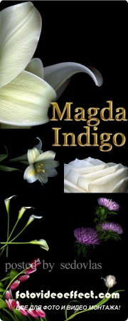 Magda Indigo