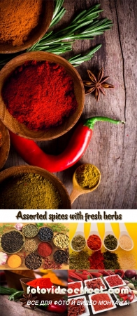 Stock Photo: Assorted spices with fresh herbs