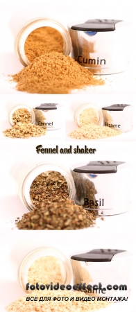 Stock Photo: Spices and fragrant seeds