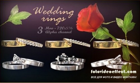     -   / Wedding rings