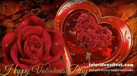  - Valentine's Day - Red Rose