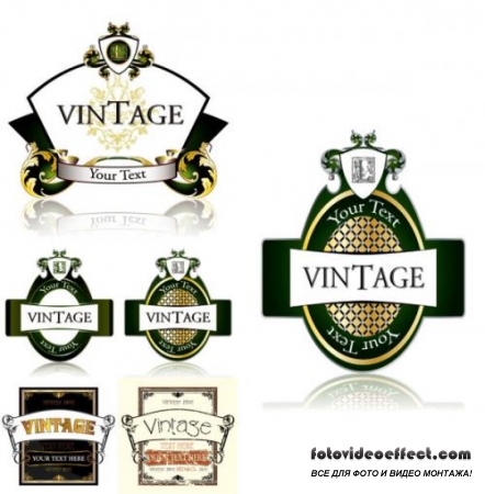 Fine bottle labels vector