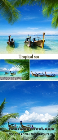 Stock Photo: Tropical sea