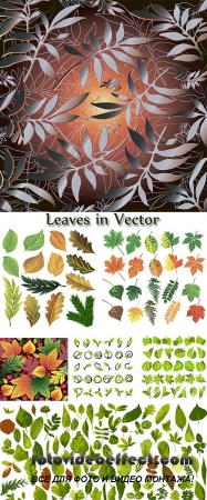 Stock: Leaves in Vector