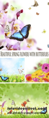  Stock Photo:  Beautiful spring flowers with butterflies
